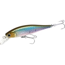 LUCKY CRAFT Japan B'Freeze 65SP (Pointer) ~JDM Jerkbait Side by Side Action Tournament Winning Wobbling River Trout Pond Fishing Freshwater Lake Bass Fishing Bait (0147 MS Wakasagi)