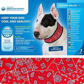 Aqua Coolkeeper Pacific Dog Collar with Fresh Function, Blue, red