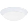 Sea Gull Lighting 75434-15 Flush Mount with Satin Etched Glass