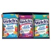 Welch's Fruit Snacks Variety Pack 2.25 oz Pack of 16