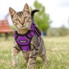 Cat Harness with Lead, Escape Proof Cat Lead Set, Adjustable,