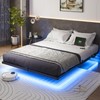 Liians Queen Size Floating Bed Frame with USB Charging Station
