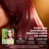 Herbishh - Champú colorante para cabello gris, champú con tinte
