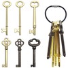 Skeleton Key Set, 6 Pcs Universal Hollow Barrel Skeleton Keys
