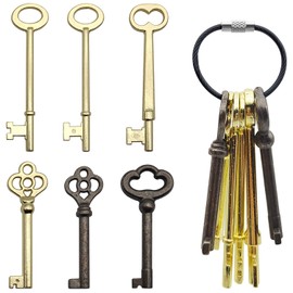Skeleton Key Set, 6 Pcs Universal Hollow Barrel Skeleton Keys with Wire Rope Keychain, Antique Vintage Key Kit for Vintage Furniture and Locks