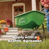 Scotts Turf Builder WinterGuard Fall Lawn Fertilizer for All Grass
