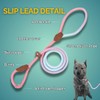 Bee N Buu Dog Leash - Slip Leads for Dogs,