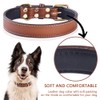 Genuine Leather Padded Dog Collar Comfortable Strong Soft Collars Best