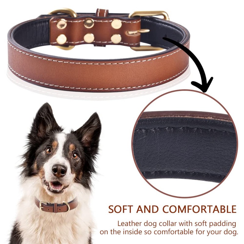 Genuine Leather Padded Dog Collar Comfortable Strong Soft Collars Best