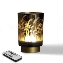 Eywamage Small Battery Operated Table Lamp with Remote, Pampas Cordless Glass Accent Lamp Lights for Bedroom Kitchen Living Room