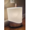 Good Earth Lighting NEW Good Earth Table Top Accent Lamp