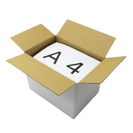 Earth Cardboard, 80 Size, Set of 100, White, A4 Clear File, Cardboard, 80, Gift Box, ID0485