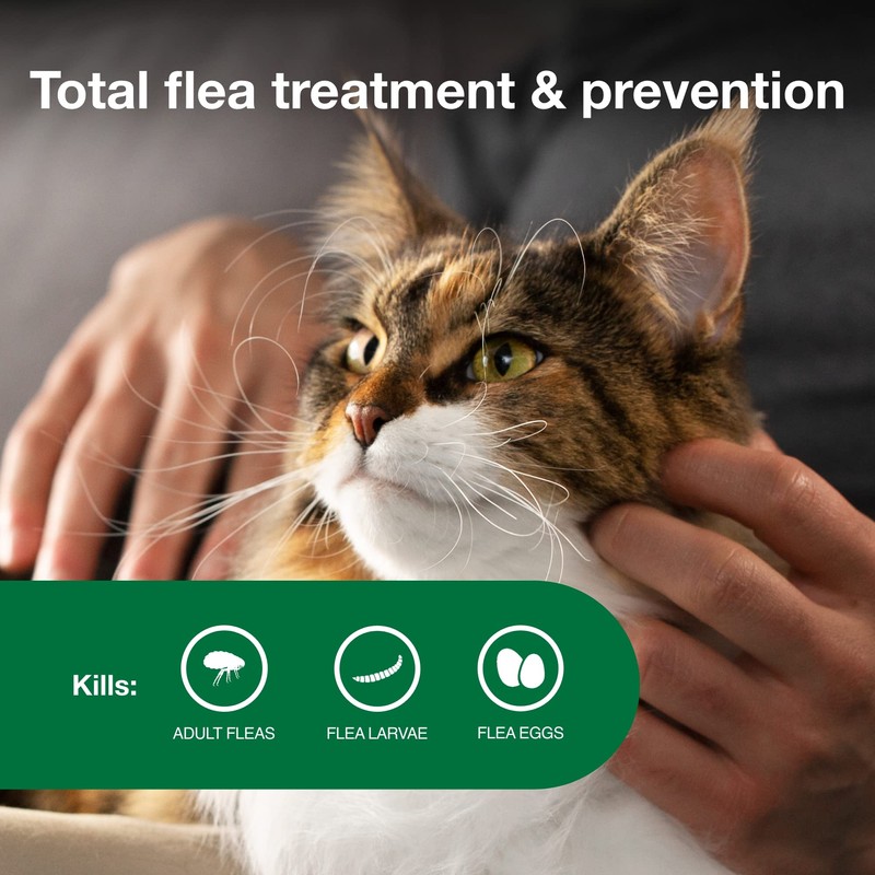 Advantage II Large Cat Vet-Recommended Flea Treatment & Prevention |