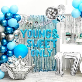 LaVenty Silver Blue Young and Sweet Only 17 Balloons Happy Birthday Banner (Silver Blue)