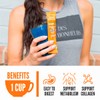 LonoLife Low Sodium Beef Bone Broth Powder Mix | Grass-Fed,