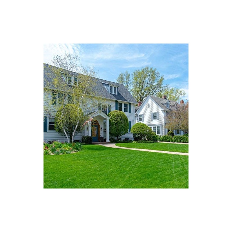 Champion GQ Perennial Ryegrass Seed (5 Lbs.)