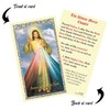 Divine Mercy Picture - Divine Mercy Door Blessing, Divine Mercy