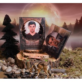 GLAMLITE THE TWILIGHT SAGA: BREAKING DAWN x GLAMLITE TEAM JACOB PALETTE, GLAMLITE #TWILIGHT