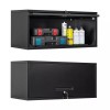 Mlezan Metal Garage Tool Wall Cabinet,Wall Mounted Metal Storage Cabinet