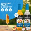 Syruvia Sugar-Free Coconut and Peach Syrup Fruit Favorites Variety Pack