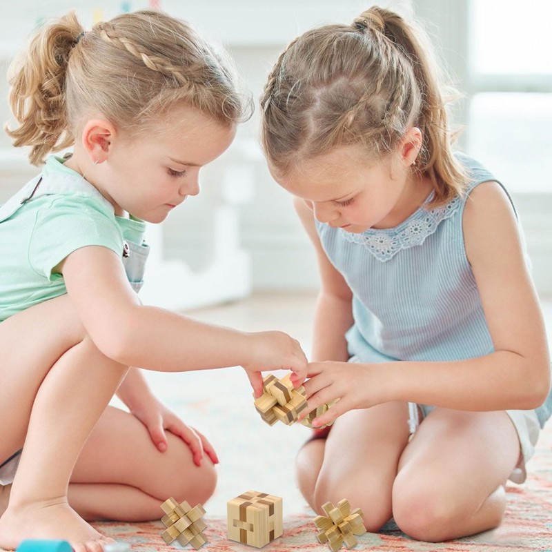 Set of 9 3D Wooden Brain Teaser Puzzles, Logic Mind