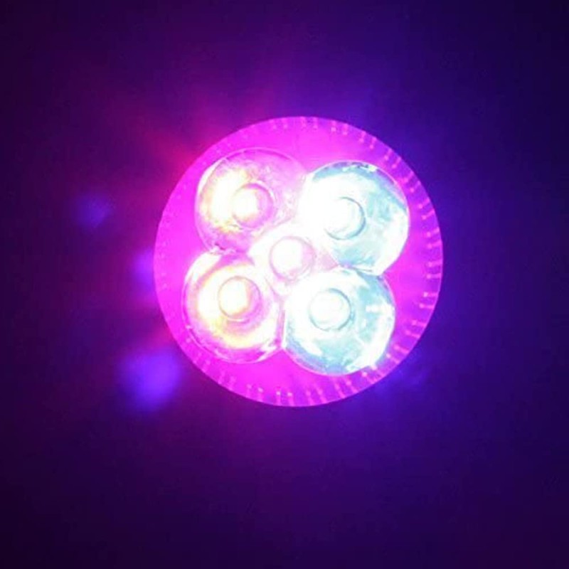 Superdream 10W Full Spectrum Led Grow Light for Flower Plant