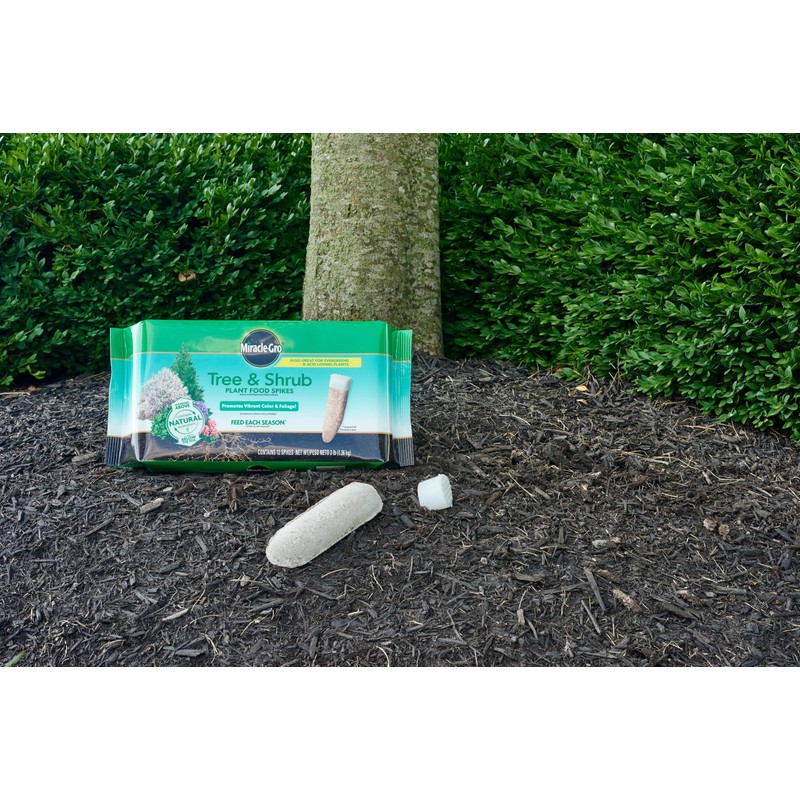Miracle-Gro Plant Food Spikes Bundle for Fruit and Citrus Plus