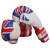 Farabi Boxing Gloves Kids Junior Flag Series Training Bag Pads