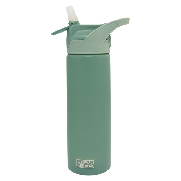 Polar Gear 575ml Stainless Steel Water Bottle with Straw -