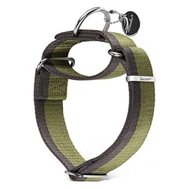 Dazzber Martingale Collar 1.5 Inch Wide 1200D Extra Strong Nylon Dog Collar, No Pull Heavy Duty Dog Collar with 2-Color Stripe for Medium to XLarge Dogs (Extra Large, 1 1/2 Inch Wide, Military Green)