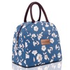 BALORAY Lunch Bag for Women Men Insulated Lunch Box for