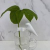 Tiardey 3PCS Plant Support Structures,Plant Propagation Buddy Plant Support For