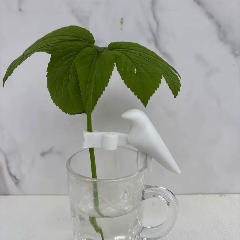 Tiardey 3PCS Plant Support Structures,Plant Propagation Buddy Plant Support For