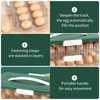 Egg Holder Refrigerator, Double Automatic Egg Holder, Double Row Egg