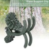 Aqur2020 Stem Clip, Flower Stems Fixing Support Clips Tool 100