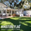 COGOLFING PGA 2025 Golf Flag Mini, 8x6 Inch, Double-Sided Silk-Screened,