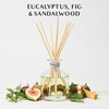 Benevolence LA Pacific Driftwood Reed Diffuser | Eucalyptus, Fig &