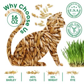 Cat Grass Seeds, 1 Pound, Non-GMO Barley, Oats, Wheat, Rye 4 Varieties Seeds, Fast & High Germination, Grown in USA for Indoor Cats