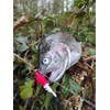 Major Fish Trout Box 50 Pieces Trout Bait Gift for