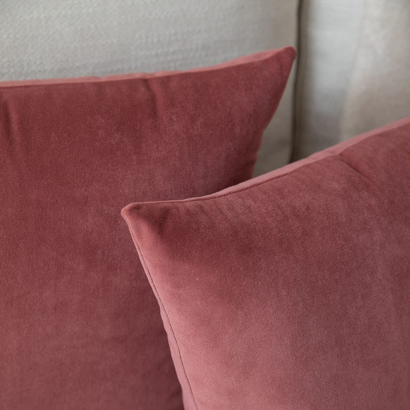 Rythome Set of 2 Velvet Throw Pillow Covers for Couch