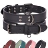 Didog Genuine Leather Dog Collar, Durable & Soft Heavy Duty