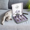 ne&no® Gift Set with Natural Catnip, Set of 3 (5