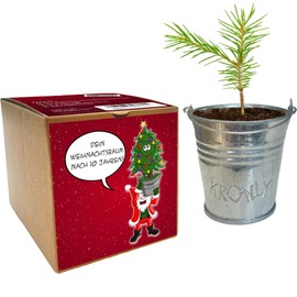 Secret Santa Gift Christmas Tree Growing Set - Funny Gift for Christmas, Santa Gift, Julklapp, Christmas Tree as a Complete Starter Set