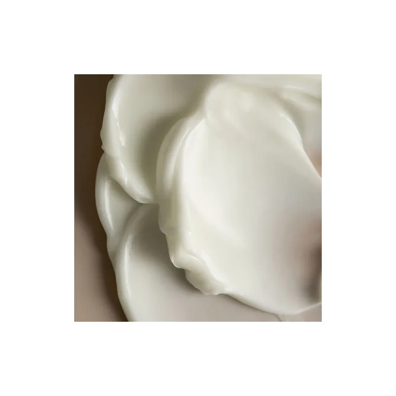 Crema Facial Nocturna Efecto Reparador Con Retinol Repair