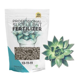 Leaves and Soul Succulent Fertilizer Pellets |13-11-11 Slow Release Pellets for All Cactus and Succulents | Multi-Purpose Blend & Gardening Supplies, No Fillers | 5.2 oz Resealable Packaging