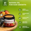 Aceite Batana Crecimiento Cabello 100 Crudo Orgánico Prensado Frío Puro