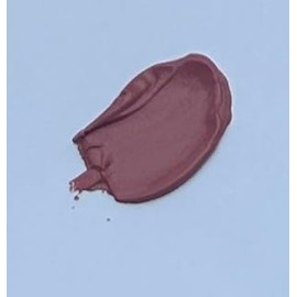 Lip Gloss Lipgloss, violett, Kapsel (Salmon matt, S)