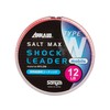 Sanyo Nylon Shock Leader, Upload, Salt-Max, Shock Reader, Mobile, Type
