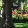 MHLLGN Solar Black Bear Tree Hugger for Outside, Animal Garden