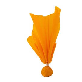 Champro Flag with Ball